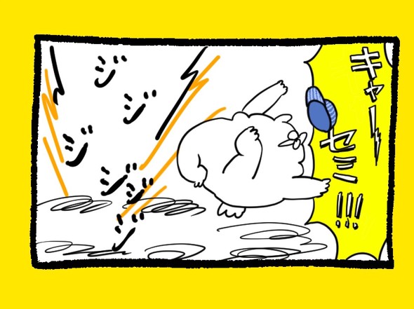 くまだよ
