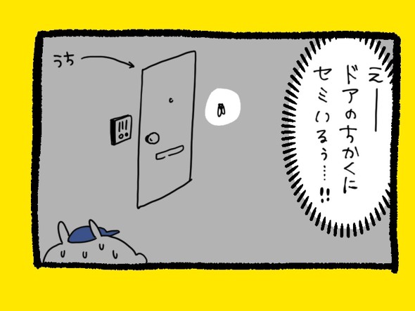 くまだよ