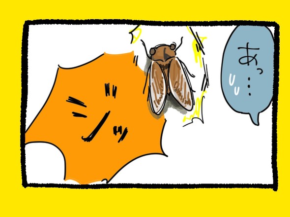 くまだよ