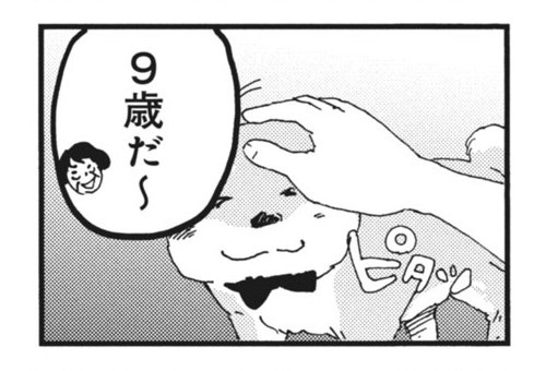 柴ばあと豆柴太