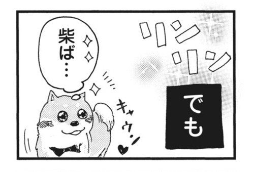 柴ばあと豆柴太