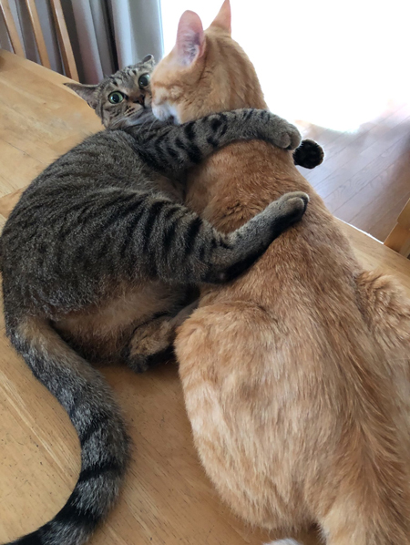 誰にも渡しません