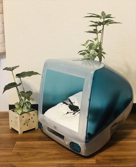 iMacの中で猫ちゃんが「スヤァ」……!? ナイスアイデアなベッドで