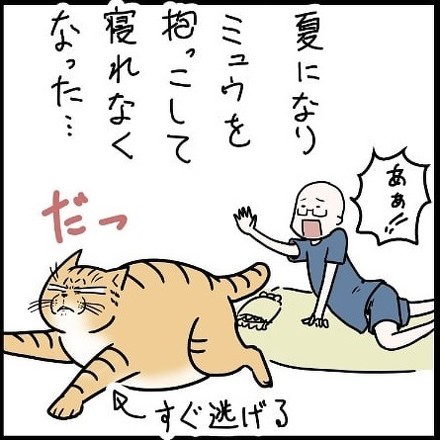 猫のやさしさ1