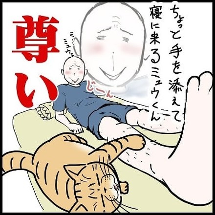 猫のやさしさ4