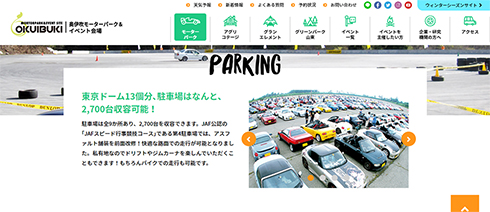 ドリドレナイト