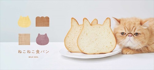 ねこねこ食パン　コラボ企画