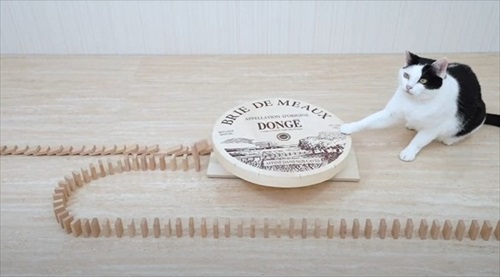 ねこねこ食パン　コラボ企画