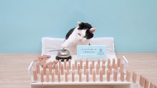 ねこねこ食パン　コラボ企画