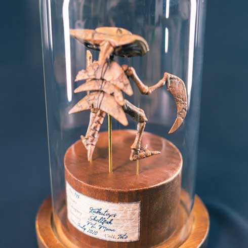 ポケモン ハンドメイド アート カブトプス 化石 標本 フィギュア 工作