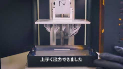 ポケモン ハンドメイド アート カブトプス 化石 標本 フィギュア 工作