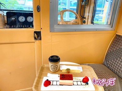 箱根登山鉄道 箱根登山電車 ロマンスカーGSE