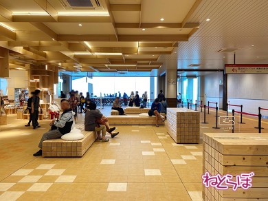 箱根登山鉄道 箱根登山電車 ロマンスカーGSE