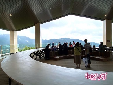 箱根登山鉄道 箱根登山電車 ロマンスカーGSE