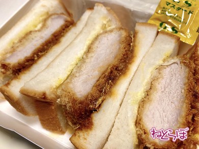 箱根登山鉄道 箱根登山電車 ロマンスカーGSE