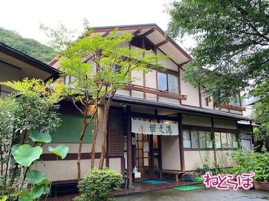 箱根登山鉄道 箱根登山電車 ロマンスカーGSE