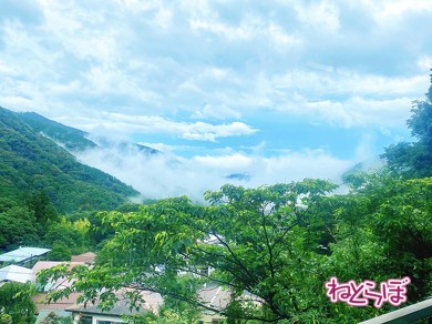 箱根登山鉄道 箱根登山電車 ロマンスカーGSE