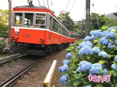 箱根登山鉄道 箱根登山電車 ロマンスカーGSE