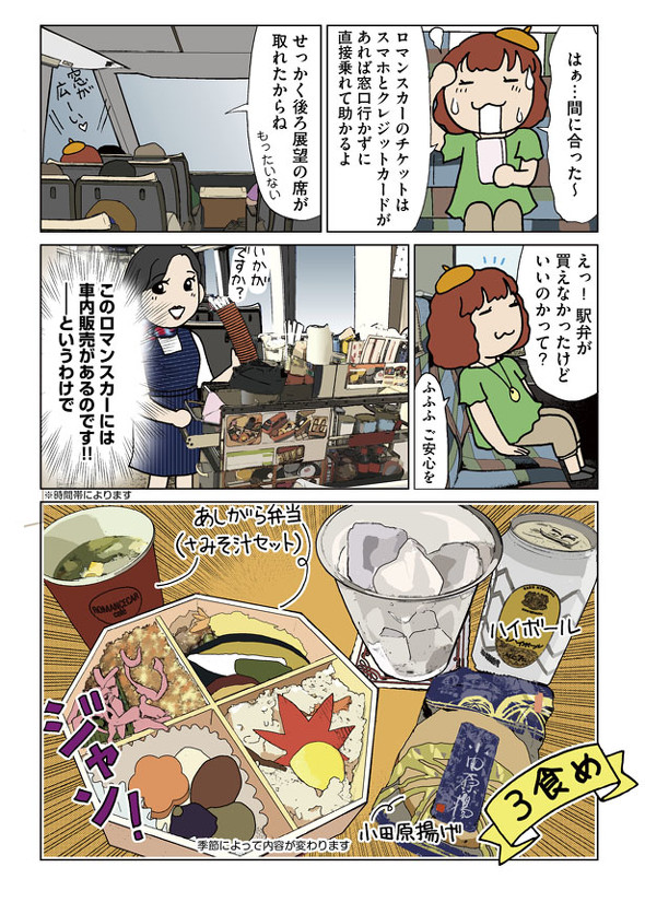 箱根登山鉄道 箱根登山電車 ロマンスカーGSE