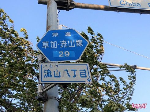 「主要地方道」千葉県道29号の路線番号案内標識（ヘキサ）　このような路線名が書かれたタイプもまれにあり、首都圏では千葉に多い