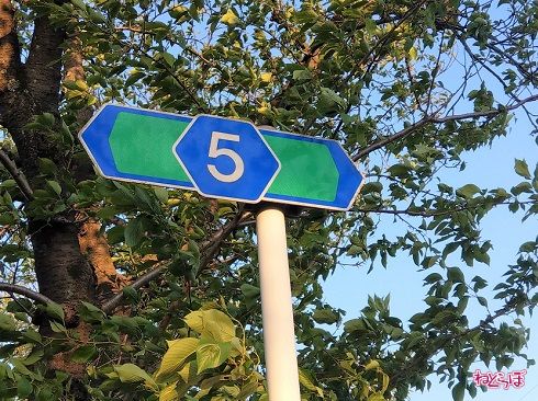 千葉県道5号の交差道路・路線番号標識。主要地方道なので緑色をしている
