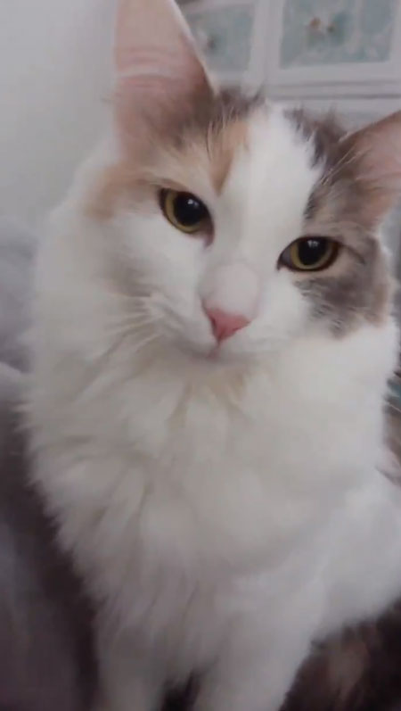 チャコさんアップ