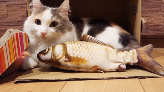 視界に入れたくないチャコさん