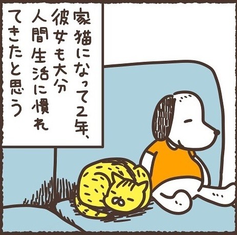 どこで覚えたんだ3