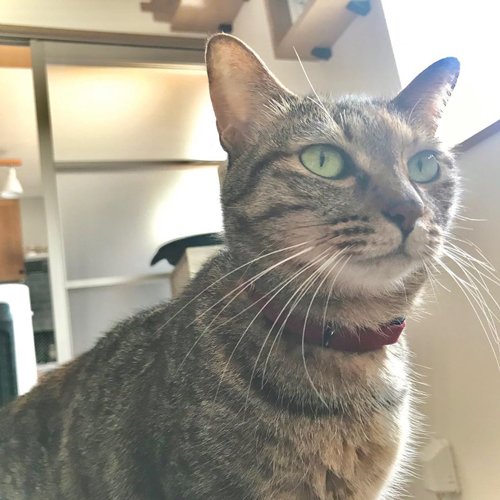 どこで覚えたんだムギちゃん