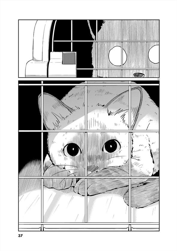 結婚するって、本当ですか トニカクカワイイ