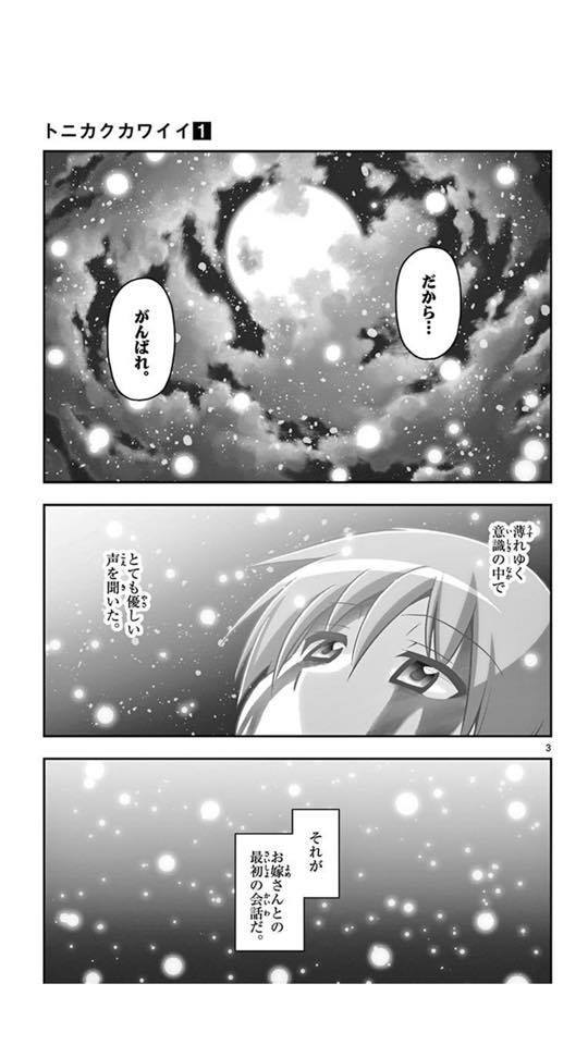 結婚するって、本当ですか トニカクカワイイ