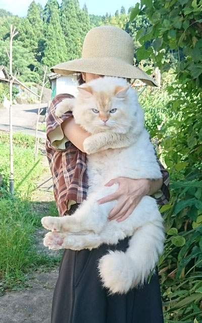 でかすぎて最高な猫ちゃんアップ