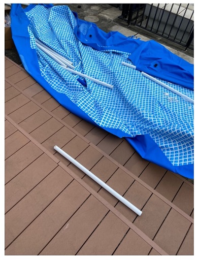 市川海老蔵 プール