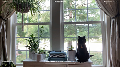 世界の誰かが見ている窓からの景色　WindowSwapが巣ごもり生活を和ませる
