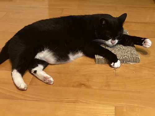 お父さんの仕事道具