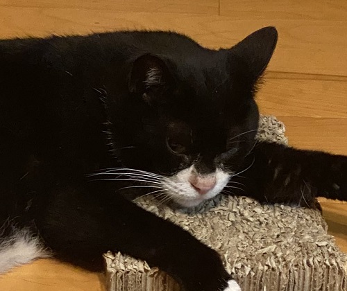 お父さんの仕事道具