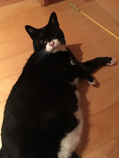 お父さんの仕事道具