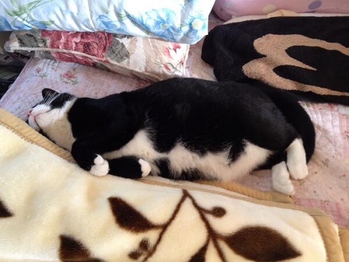 お父さんの仕事道具