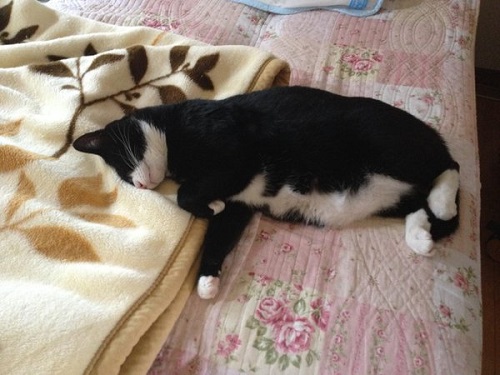 お父さんの仕事道具