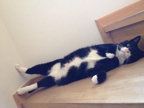 お父さんの仕事道具