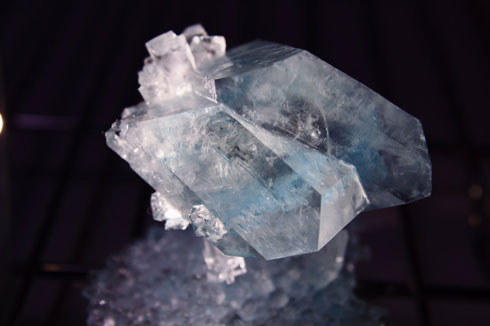 きれい 海 ケーキ 貝殻 砂糖 お菓子 シュガークラフト