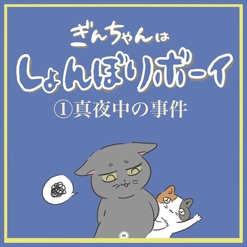 ぎんちゃんはしょんぼりボーイ