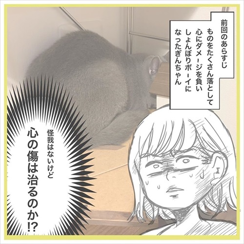 ぎんちゃんはしょんぼりボーイ