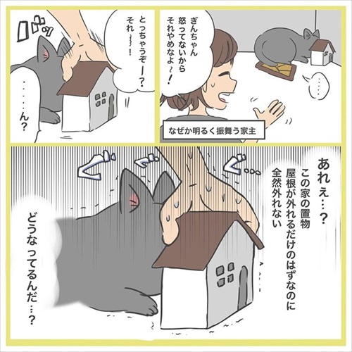 ぎんちゃんはしょんぼりボーイ