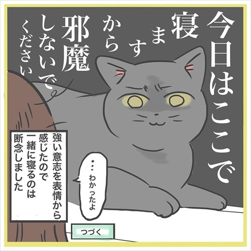 ぎんちゃんはしょんぼりボーイ