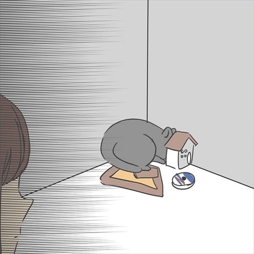 ぎんちゃんはしょんぼりボーイ