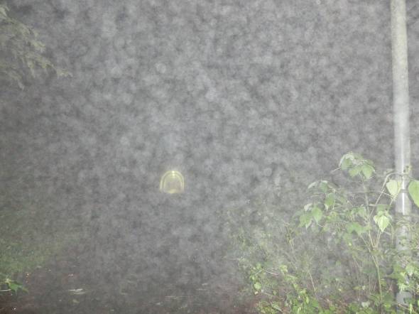 三和交通 心霊タクシー 心霊スポット 廃墟