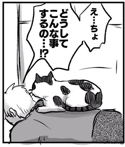 実家の猫の謎行動