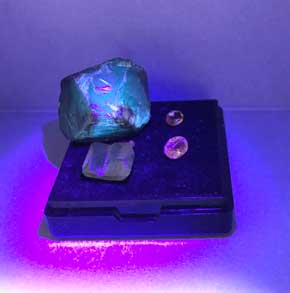20年物 イカ醤油 塩の結晶 きれい 石