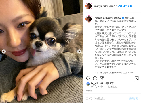 西内まりや 愛犬 ティアラ ペット 犬 Instagram インスタ 犬垢 死
